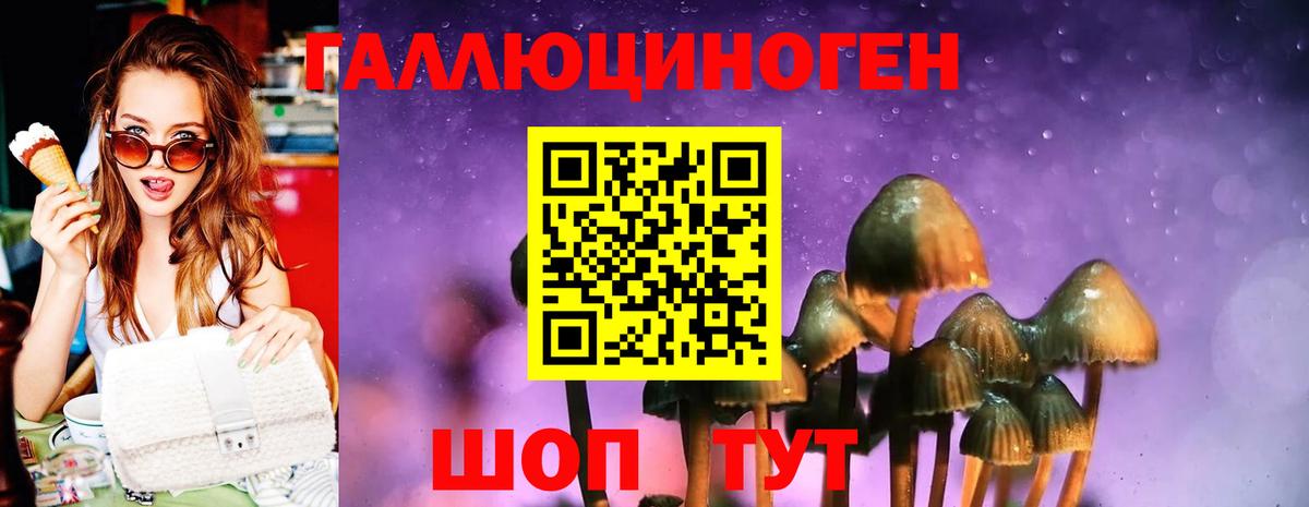 Псилоцибиновые грибы Psilocybe  Вход с VPN  Орехово-Зуево  Галлюциногенные грибы Magic Shrooms 